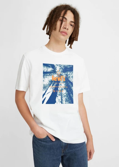 Ss Relaxed Fit Tee Bi Poster W, Bi Poster, L, T-Shirts