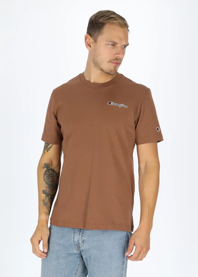Rochester Crewneck T-Shirt Small Logo, Aztec, S, T-Shirts