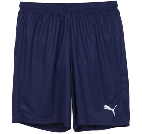 Liga Shorts Core With Brief, Peacoat-Puma White, Xl, Träningsbyxor