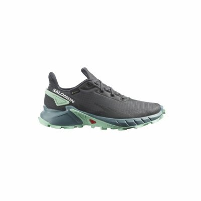 Löparskor, Vuxna Salomon Alphacross 4 Gore-Tex Grå Kvinna (Fotstorlek: 38 2/3)