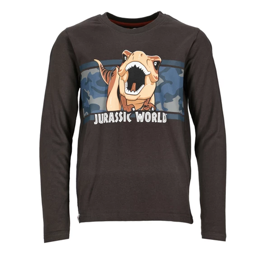 M12010215 - T-Shirt Ls, Dark Grey, 122, T-Shirts